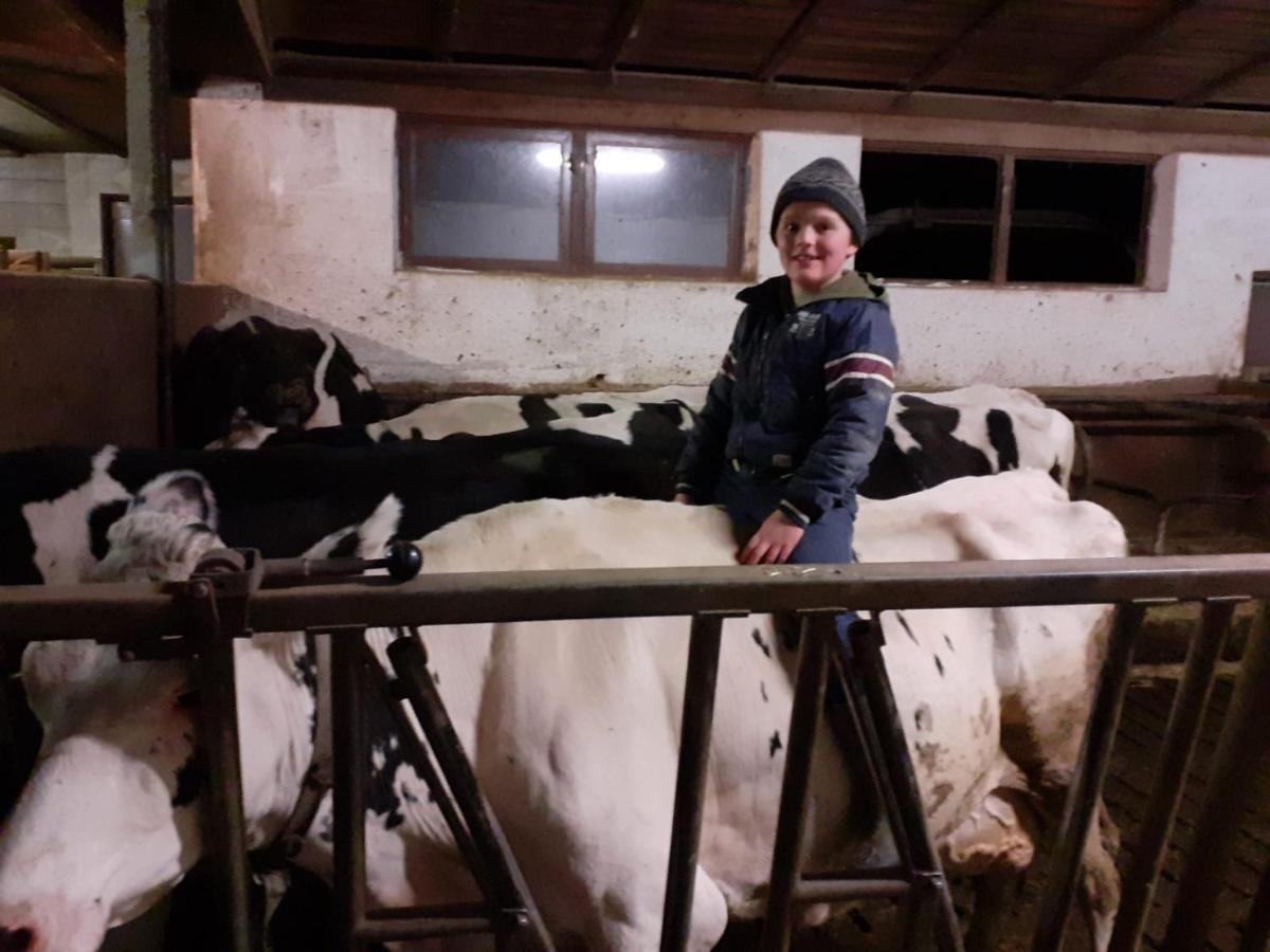 Schweiggerhof -Agriturismo- Farm Holidays Вилландро Экстерьер фото